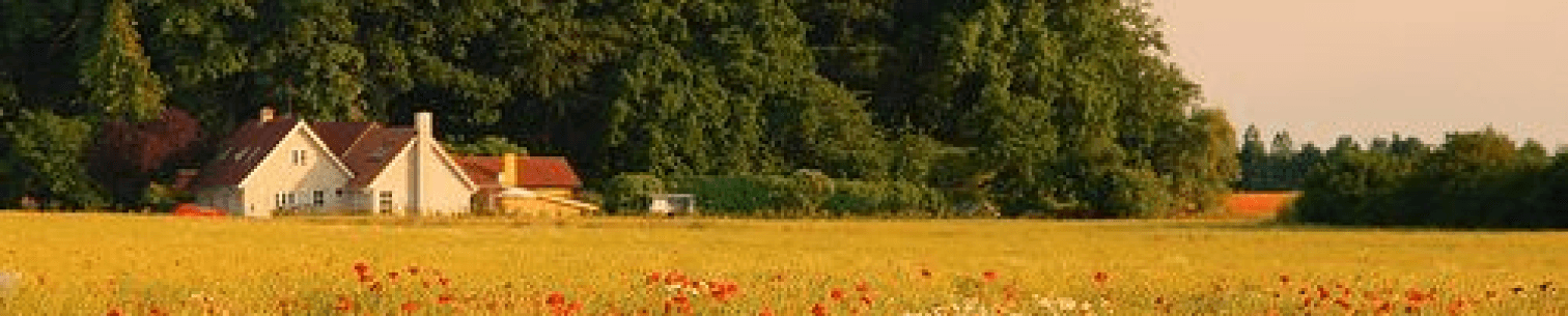 Houses image